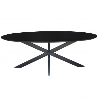 URBAN-Table à manger ovale 6/8 personnes L160, Spider et Acacia noir