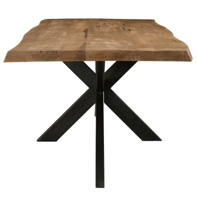 DACCA-Table à manger 10/12 personnes L240, Manguier massif et métal