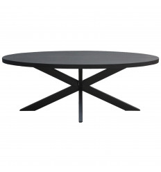 UZES-Table à manger ovale 8/10 personnes L210,Spider et Manguier noir