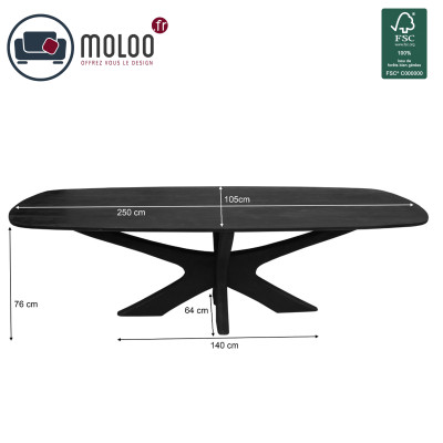 EPSYLON-Mesa de comedor ovalada para 10/12 personas, L.250 de madera maciza negra