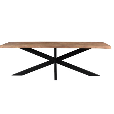 DACCA-Table à manger 8/10 personnes L220, Manguier massif et métal