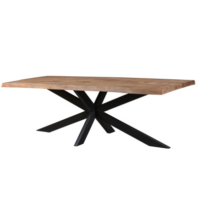 DACCA-Table à manger 8/10 personnes L220, Manguier massif et métal