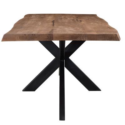 DACCA-Table à manger 8/10 personnes L220, Manguier massif et métal