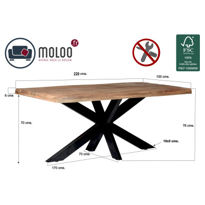 DACCA-Table à manger 8/10 personnes L220, Manguier massif et métal