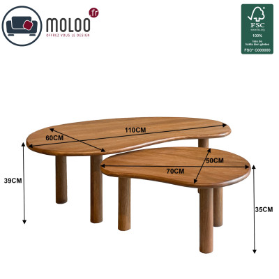 NUBIS-Set de 2 Tables basses gogognes en bois massif