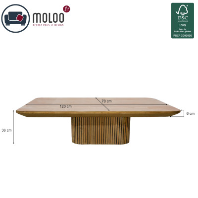 PIANA-Table basse 120x70cm en Teck massif