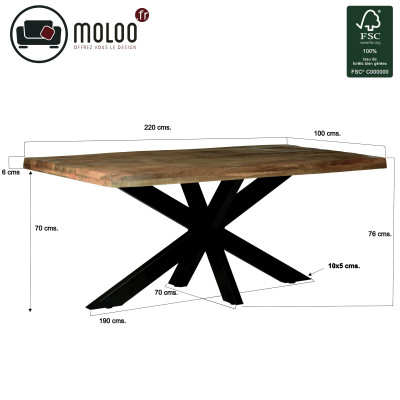 MANAUS-Table repas 8/10 personnes L220, Manguier "tree top",Spider