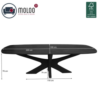 EPSYLON-Mesa de comedor ovalada para 8 personas, L.220 cm, de madera maciza negra