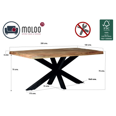 DACCA-Table à manger 8/10 personnes L200, Manguier massif et métal