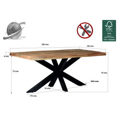 DACCA-Table à manger 8/10 personnes L200, Manguier massif et métal