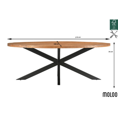 BARI-Table à manger Ovale 8/10 p L.210 cm, Manguier et métal noir