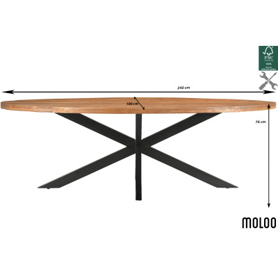BARI-Table à manger Ovale 10/12 p L.240 cm, Manguier et métal noir