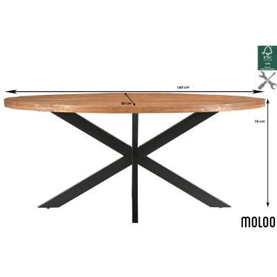 BARI-Table à manger Ovale 6/8 p L.180 cm, Manguier et métal noir