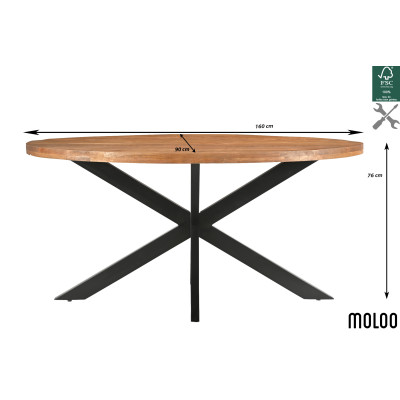 BARI-Table à manger Ovale 6 personnes, L160 cm, Manguier, métal noir