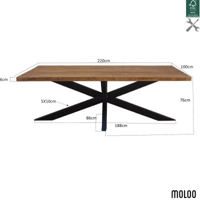 MANAUS-Table à manger 10/12 personnes L220, Manguier massif et spider