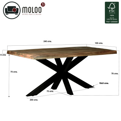 MANAUS-Table repas 10/12 personnes L240, Manguier "tree top",Spider