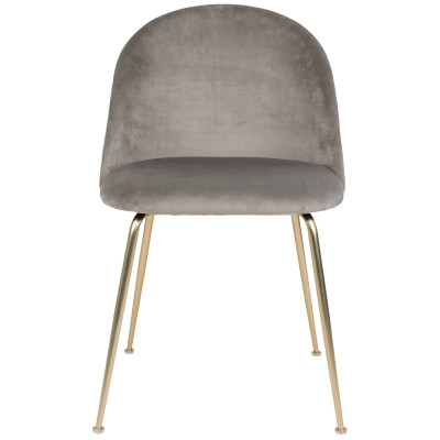LOLY-Sedia in velluto grigio con finitura ottone (x2)