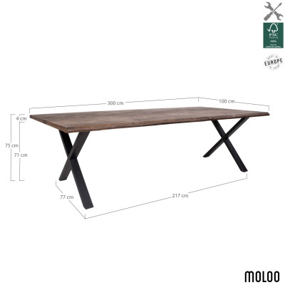 CALVI-Esstisch für 12+ Personen 300 cm massiver geräucherter Eiche